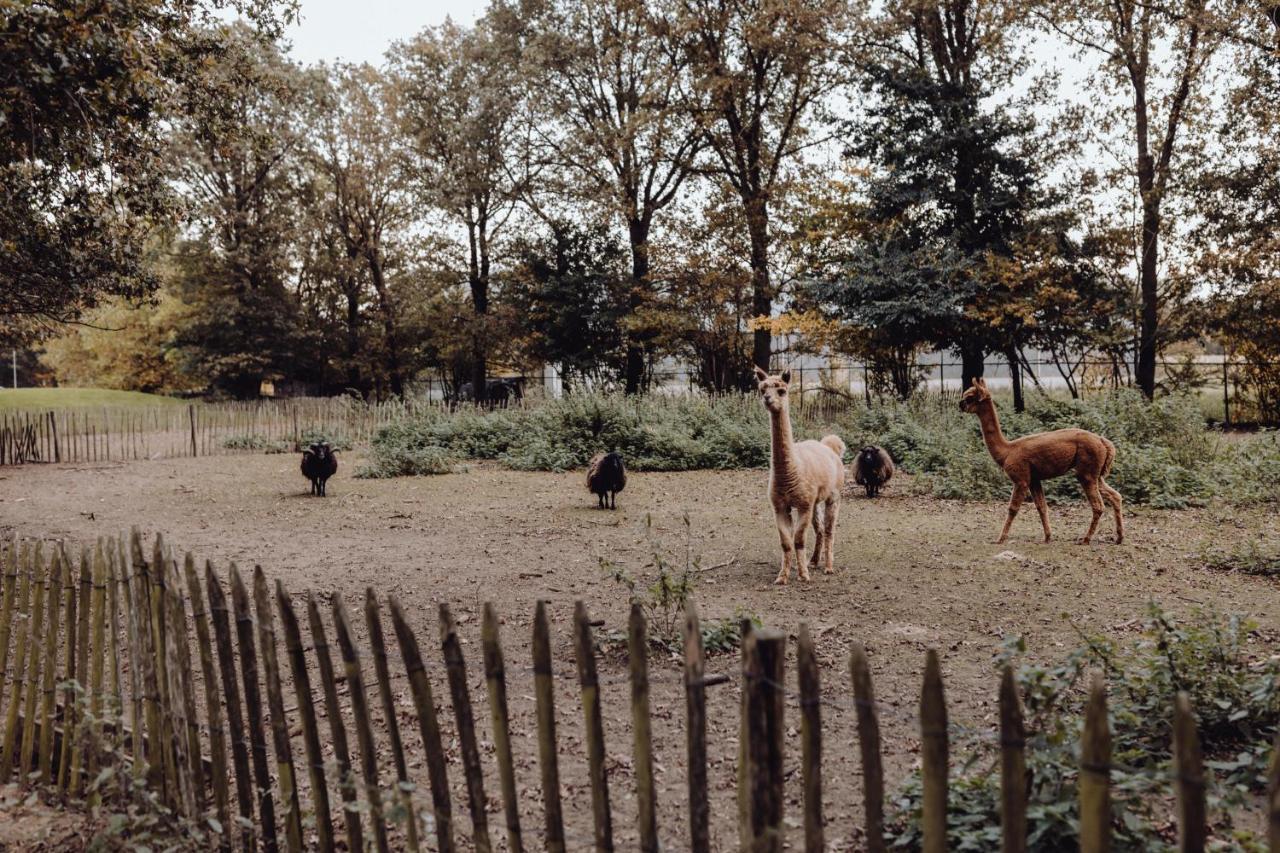 Broekhuizen  Het Hilkensberg Parkヴィラ エクステリア 写真