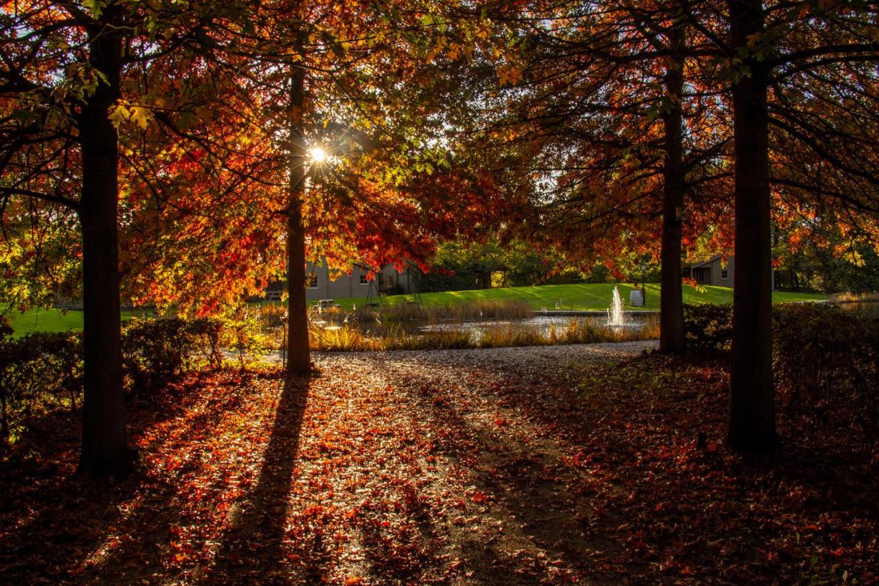 Broekhuizen  Het Hilkensberg Parkヴィラ エクステリア 写真
