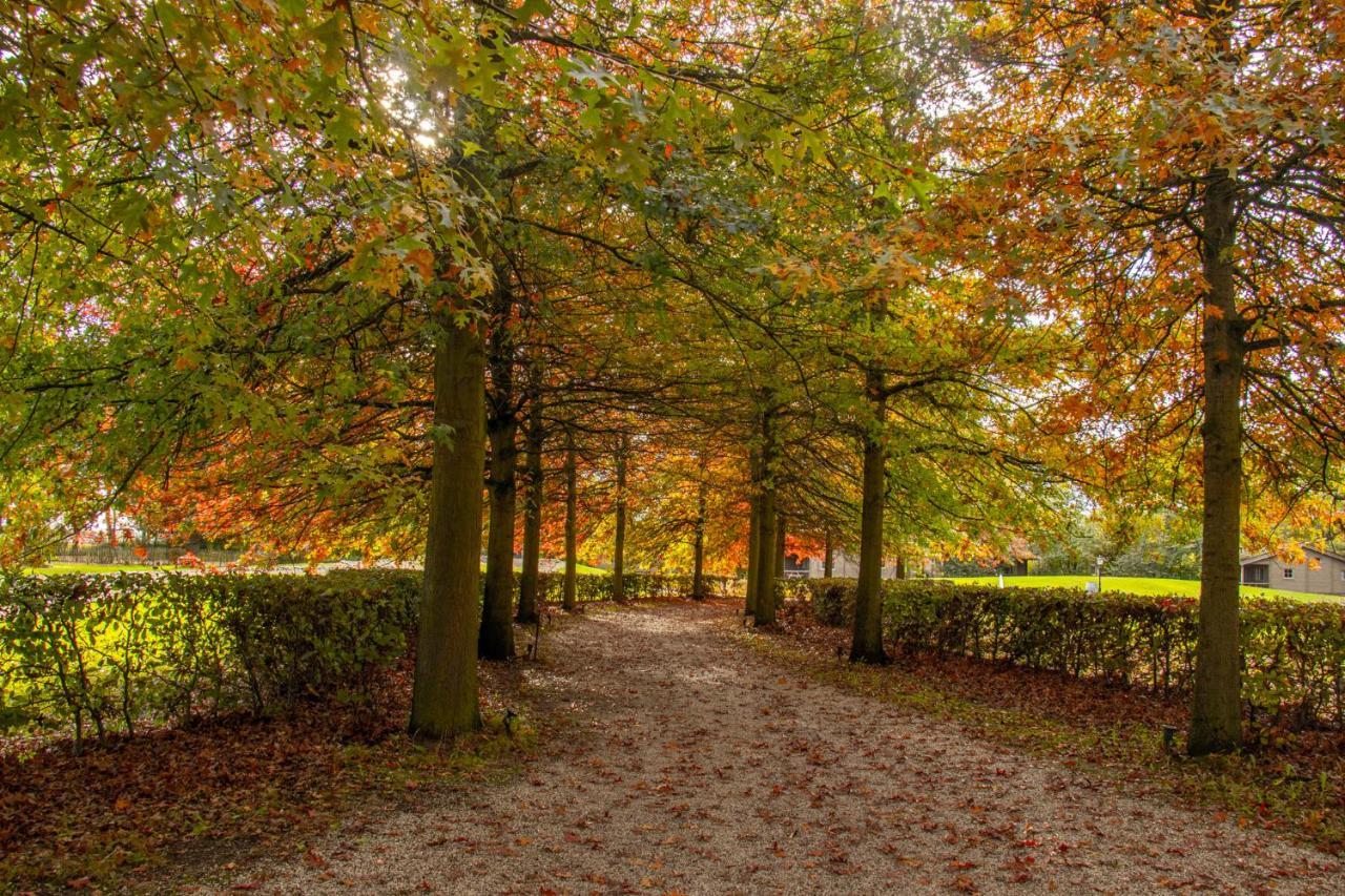 Broekhuizen  Het Hilkensberg Parkヴィラ エクステリア 写真